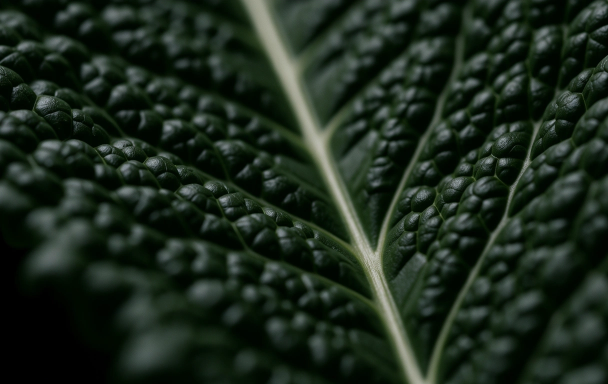 Texture background